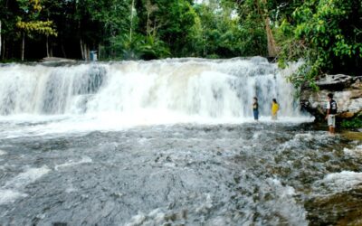 Angkor National Park Tour