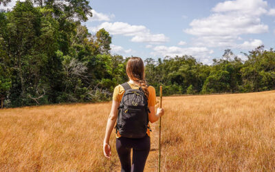 Cambodia overland tour 7Days 6Night